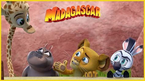 DreamWorks Madagascar en Español Latino Visita a los animales