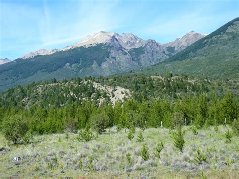 Foto Ingreso Al Parque Parque Nacional Los Alerces Chubut Argentina