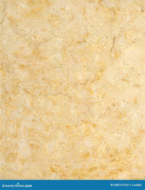 Imperial Concubine Beige Stone Marble Varieties Natural Plate Texture