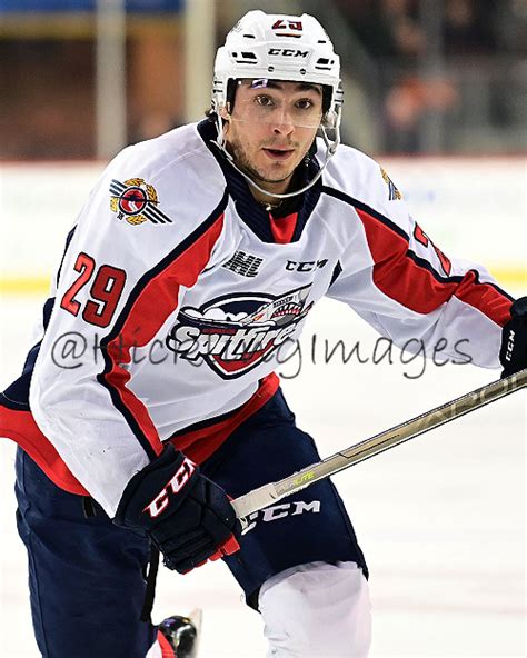 Daniel D'Amico - Stats, Contract, Salary & More