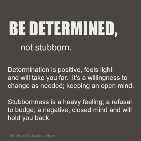 Dont Be Stubborn Quotes Quotesgram