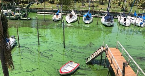 Sigue el alerta por cianobacterias en la Provincia Cómo están las