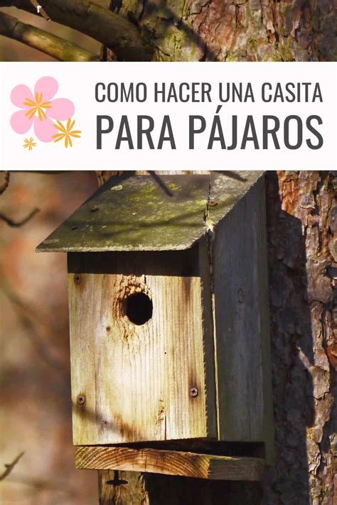 Aprender Acerca Imagen Como Hacer Casas Para Pajaros De Madera