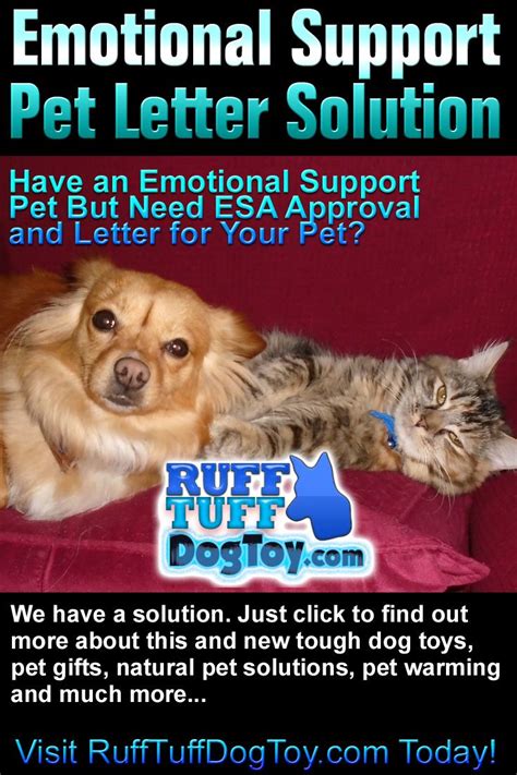 How To Get An Emotional Support Pet Letter Don Julio