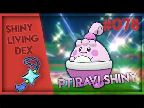 UN SHINY EN MOINS DE 500 RENCONTRES Ptiravi Shiny Live Reaction