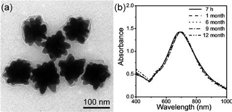 Intensity Of The Uv Vis Absorption Peak Of The Urchinlike Au Nps With