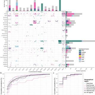 PDF A Genomic Surveillance Framework And Genotyping Tool For