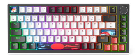 Amazon Fogruaden Wired Percent Mechanical Keyboard Hot Swappable Red Switch Tkl