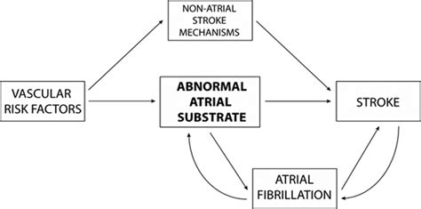 Stroke Risk Factors Genetics And Prevention Circulation Research