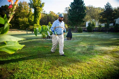 7 Things To Know About Pre Emergent Weed Control In Maryland