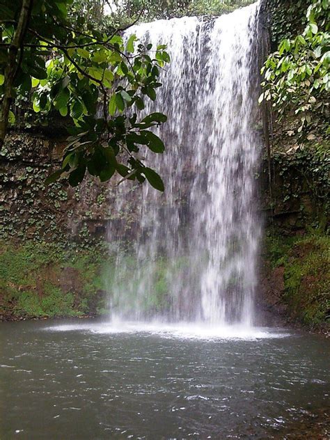 16 Best Images About Araguari Minas Gerais On Pinterest Photos