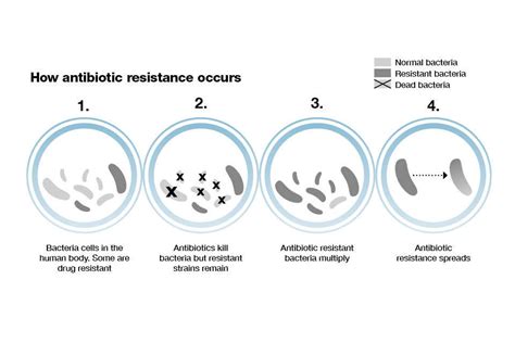 Antibiotic Resistance Animations