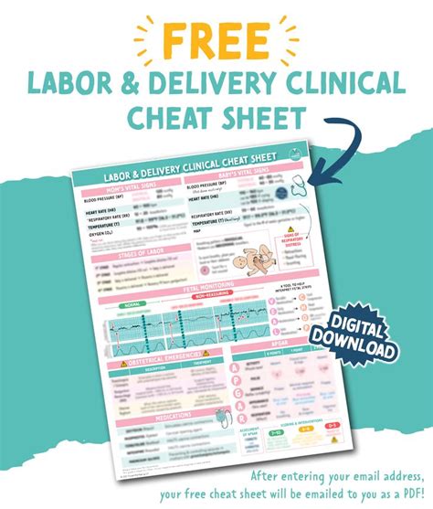 The Labor And Delivery Clinic Sheet