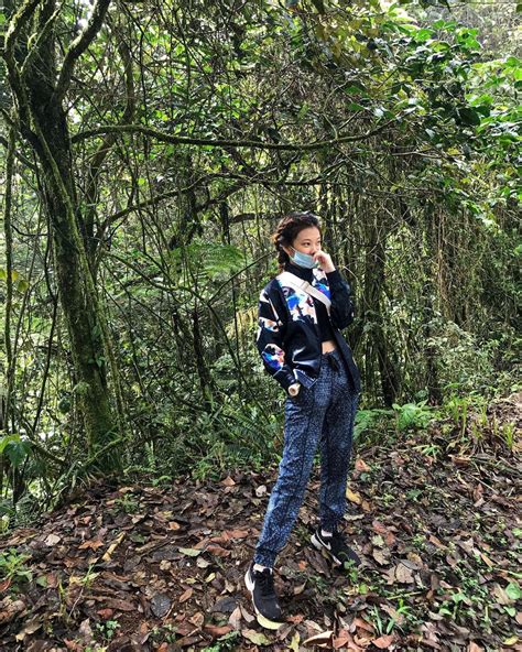 Mossy Forest Cameron Highlands Tips For Exploring This Enchanting