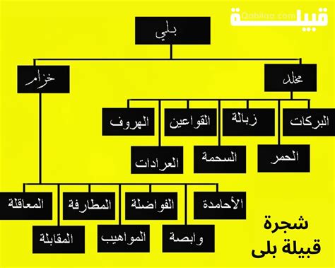 أسماء قبائل السعودية الأصلية بالترتيب القبائل الأشهر في المملكة