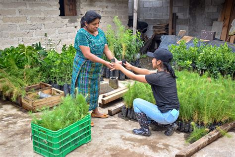 Mayan Farming