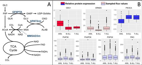 Identifying Cancer Specific Metabolic Signatures Using Constraint Based