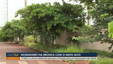 Meio Dia Paraná Londrina Moradores reclamam de mato alto em