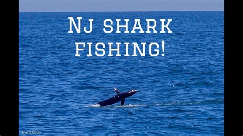 Thresher Shark Fishing Off New Jersey Epic Mako Jump And Some Sea