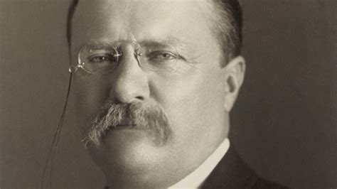 Teddy Roosevelt S Forgotten Conservation Legacy For Birds