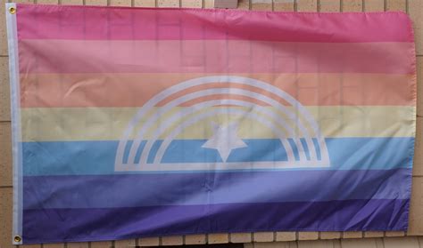 Backorder: Xenogender pride flag 3' X 5' – PridePoint