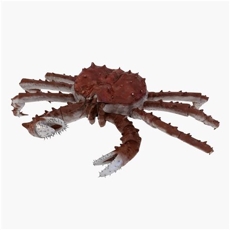 King Crab 3D Model $99 - .max - Free3D