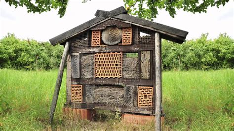 Nabu Insektenhotels Im Landkreis Gro Gerau Insektenhotel