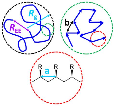 2 Schematic Representation Of A Polymer Chain At Different Length