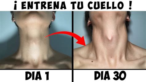 COMO ENTRENAR El CUELLO AUMENTA 204 TU ATRACTIVO YouTube