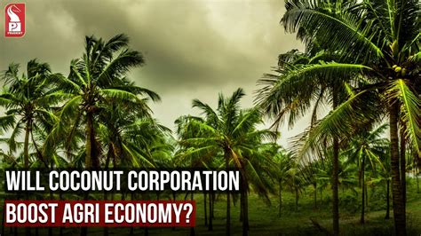 WILL COCONUT CORPORATION BOOST AGRI ECONOMY