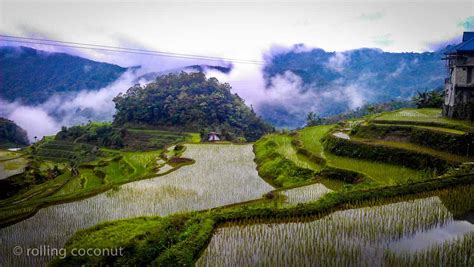 Banaue Rice Terraces Sketch At Explore Collection