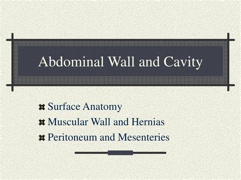 Ppt Abdominal Wall And Cavity Powerpoint Presentation Free Download