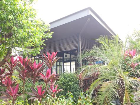 PTT STATION ปั้มน้ำมันปตท.บริษัท พี.บี.ปิโตรเลียม จำกัด ในเมืองอำเภอ ...
