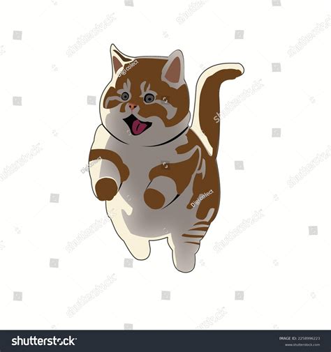 Vector Image White Brown Cat Jumping Stock Vector Royalty Free