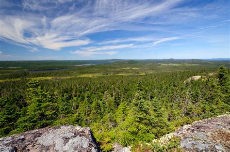 Terra Nova National Park Official Ganp Park Page