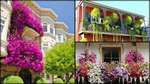 Must See Colorful Balcony Gardens The Owner Builder Network