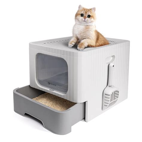 Benefits Of A Top Entry Litter Box For Large Cats Modkat