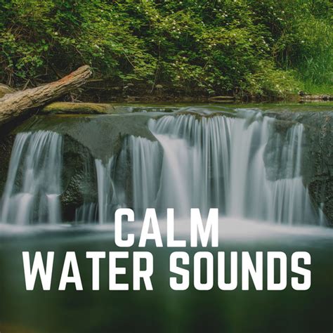 Calm Water Sounds Album By Water Soundscapes Spotify