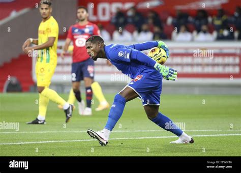 Goalkeeper Of Lille Mike Maignan During The French Championship Ligue 1