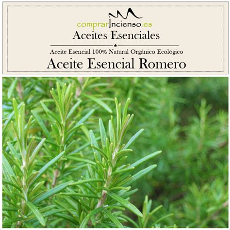 Aceite Esencial Puro 100 Bio Ecológico Romero Rosmarinus officinalis