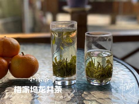 绿茶白茶红茶乌龙茶怎么泡更好喝看完4点就真相大白了 百科TA说