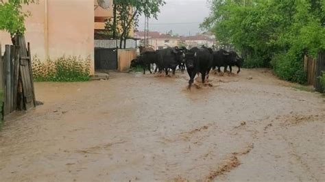 Kastamonu Samsun Ve Sinop Ta Iddetli Ya Nedeniyle Baz Okullar