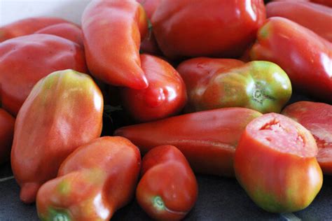 Tomate Cornue Des Andes Bio L Atelier Des Bons Plants