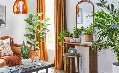 Las plantas que debes tener sí o sí en tu sala de estar decoración