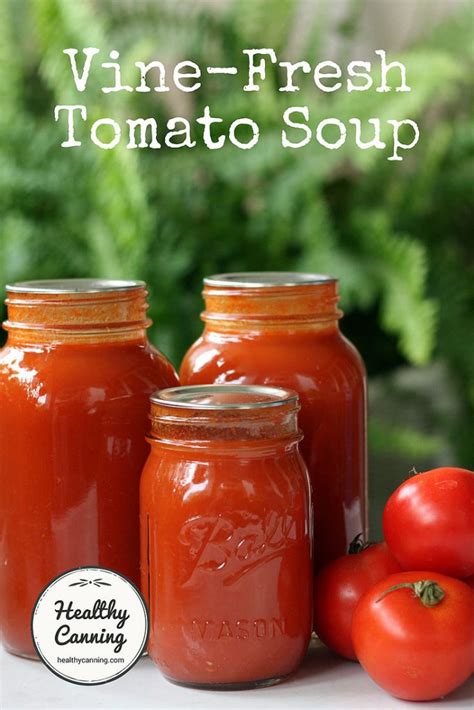 Vine Fresh Tomato Soup Healthy Canning