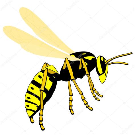 Flying Wasp — Stock Vector © Miloushek 9501814