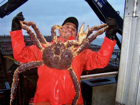 King Crab Season Cancelled 2025 Minne Tabatha