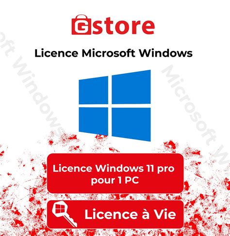 Windows Pro Licence Perp Tuelle Pc