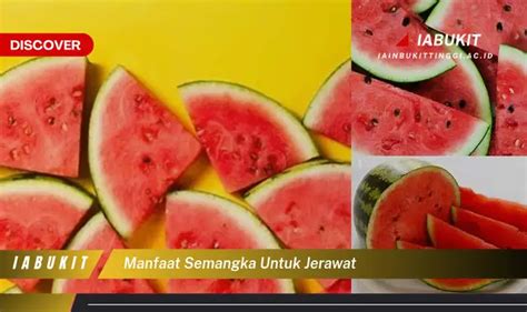 Temukan 7 Manfaat Semangka Untuk Jerawat Yang Wajib Kamu Ketahui Discover