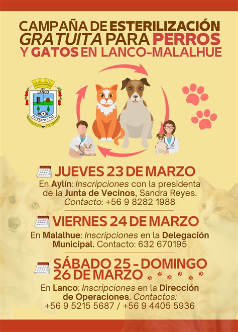 Campaña de Esterilización Gratuita para Perros y Gatos en Lanco Radio